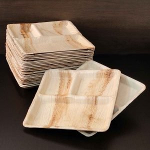Eco-friendly Disposable Areca Leaf Plates - 3 Compartments