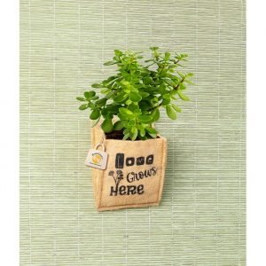 wall-hanging-jute-planter-printed