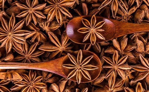 Kerala Spice Star Anise With Mesmerizing Aroma